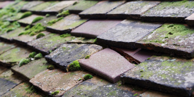 Parr roof repair costs
